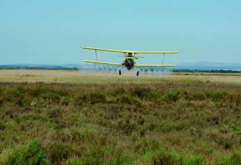 Traitement aérien pour le contrôle des espèces nuisantes issues des zones humides littorales.