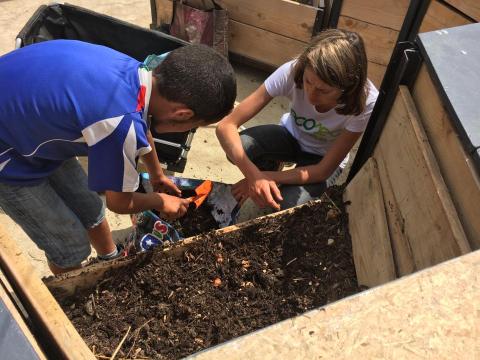 découverte de la vie du sol