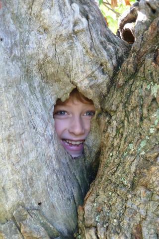 Laisser son imaginaire jouer