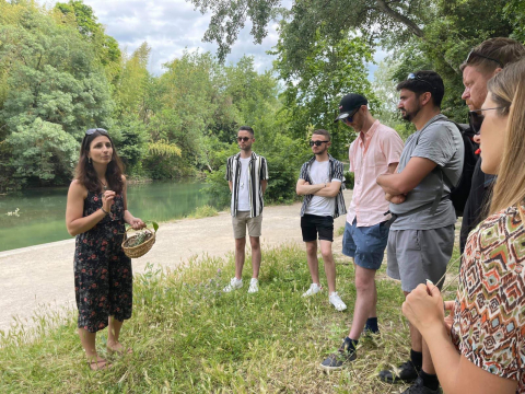 Balade sur les plantes sauvages comestibles et médicinales