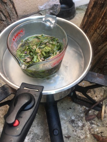 Formation plantes médicinales (fabrication de baume)