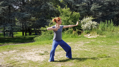 Qi GONG