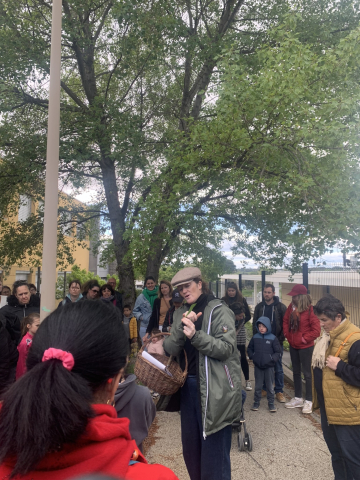 Balade de reconnaissance de plantes sauvages et comestibles 