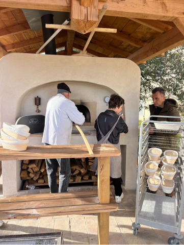 atelier apprendre à faire son pain aux farines anciennes et au levain 