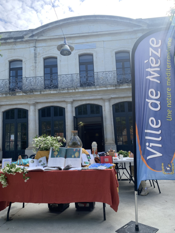 atelier animation lactofermentation