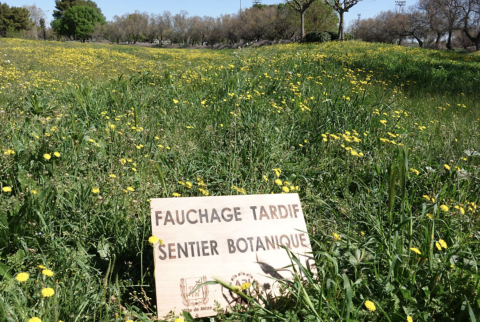 sentier botanique éphémère à Mèze 