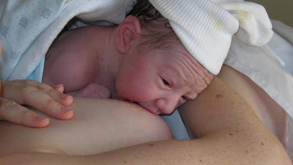 1iere mise au sein je découvre 