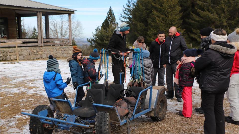 sortie chiens de traineaux
