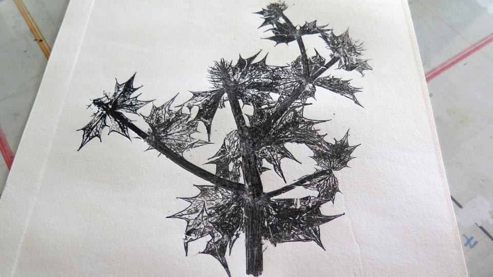 Monotypes avec des végétaux