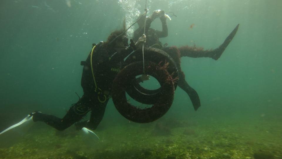Ecovolontariat à Lisbonne, Protection des fonds marins et collecte des déchets.