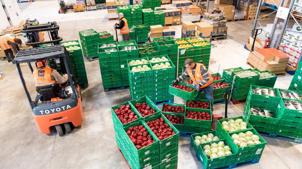 Tri quotidien dans l'entrepot de Mauguio