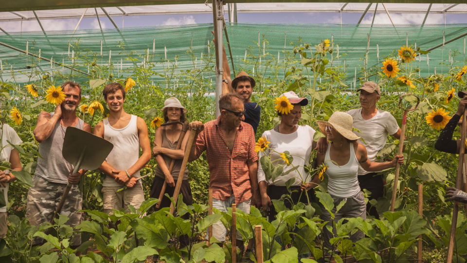 équipe maraîchage bio en insertion socioprofessionnelle
