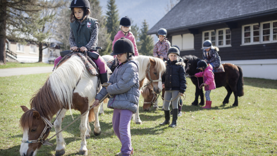 CLASSES DE DECOUVERTES - ©Julien Crégut ©Olivier Pezzot 
